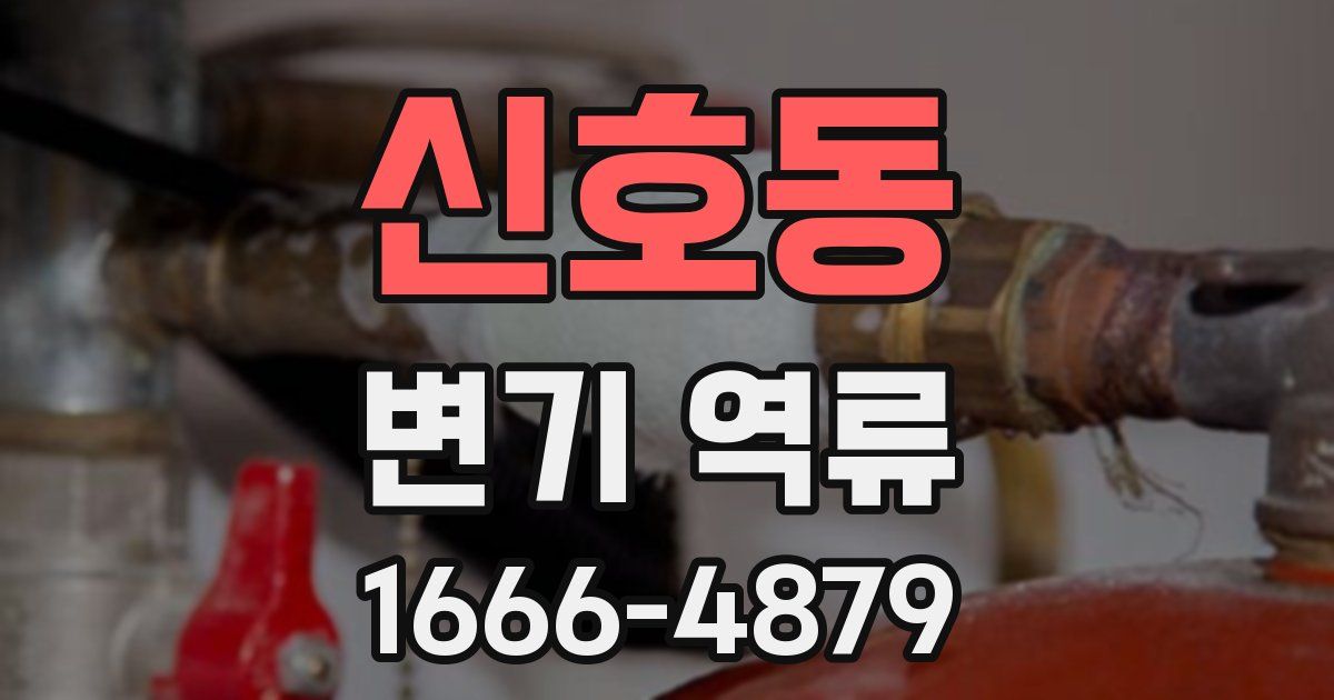 신호동 변기 역류