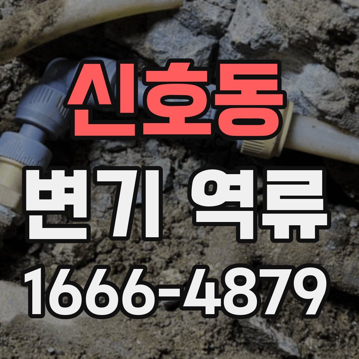 신호동 변기 역류