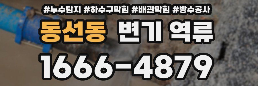 동선동 변기 역류