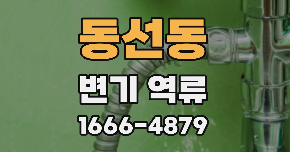동선동 변기 역류