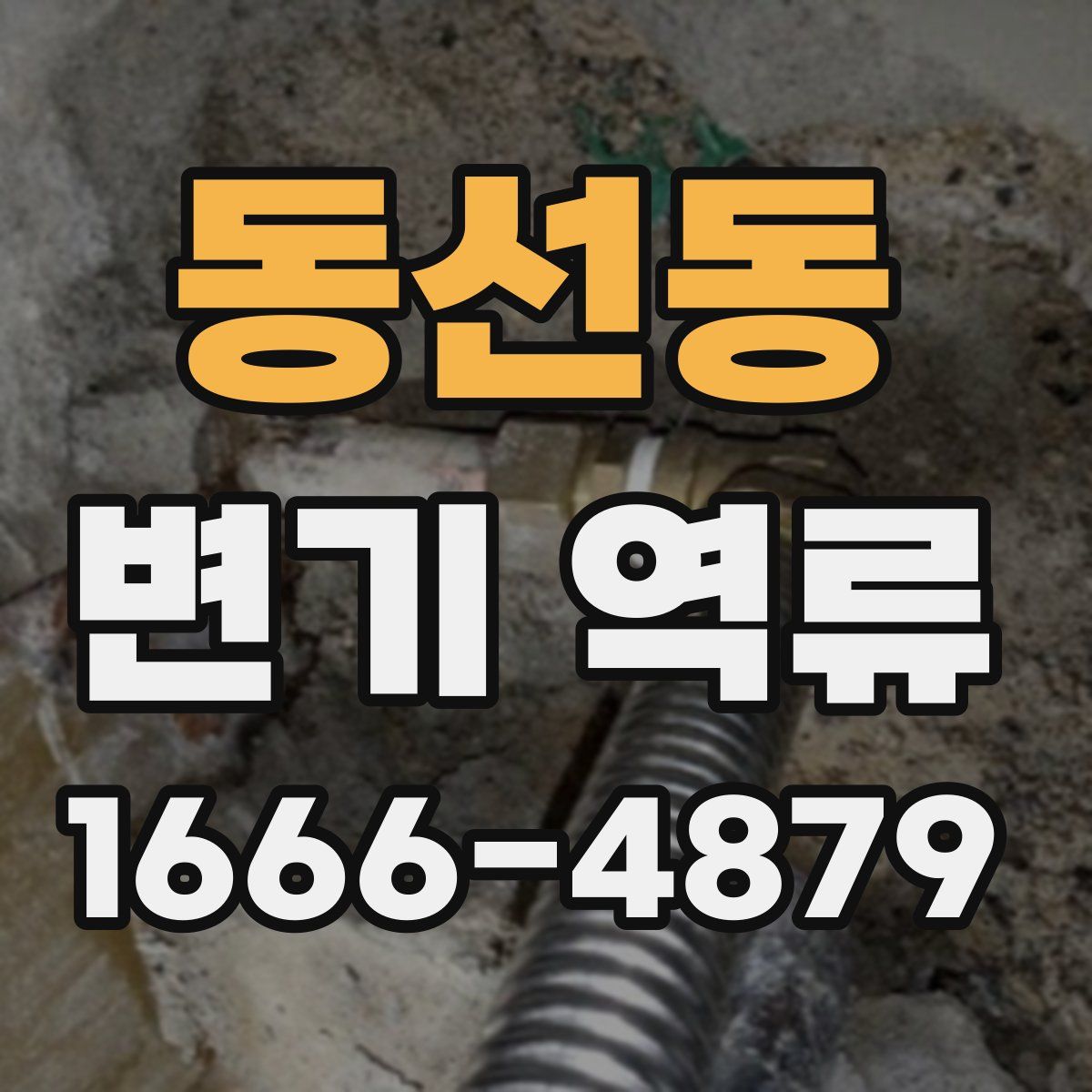 동선동 변기 역류