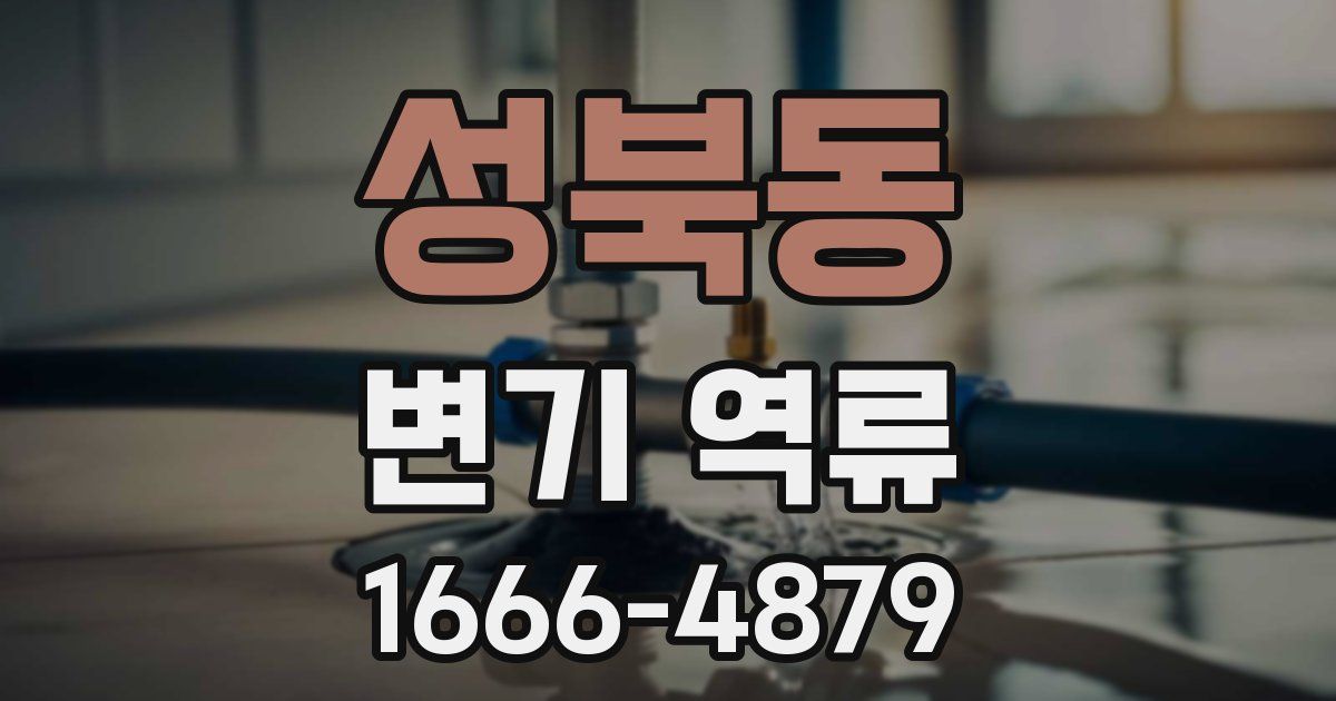 성북동 변기 역류