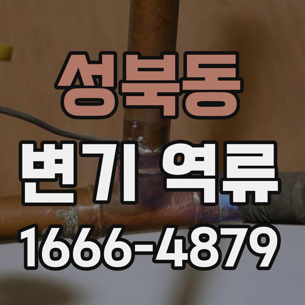 성북동 변기 역류