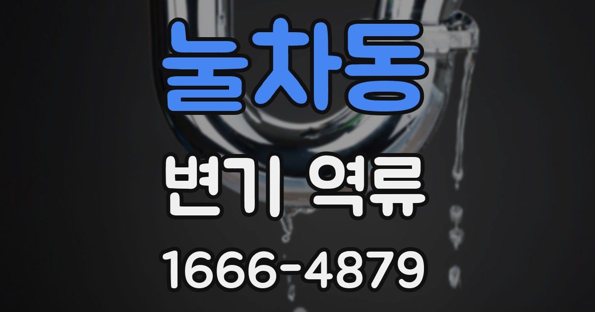 눌차동 변기 역류