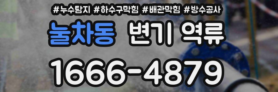 눌차동 변기 역류