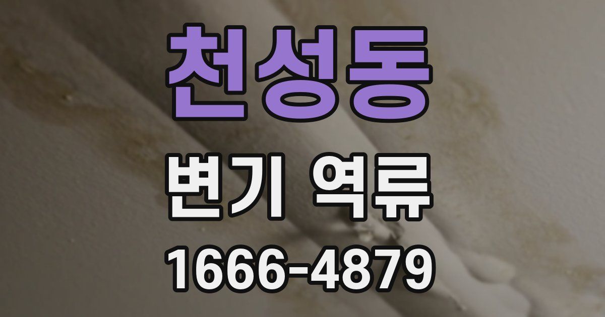 천성동 변기 역류