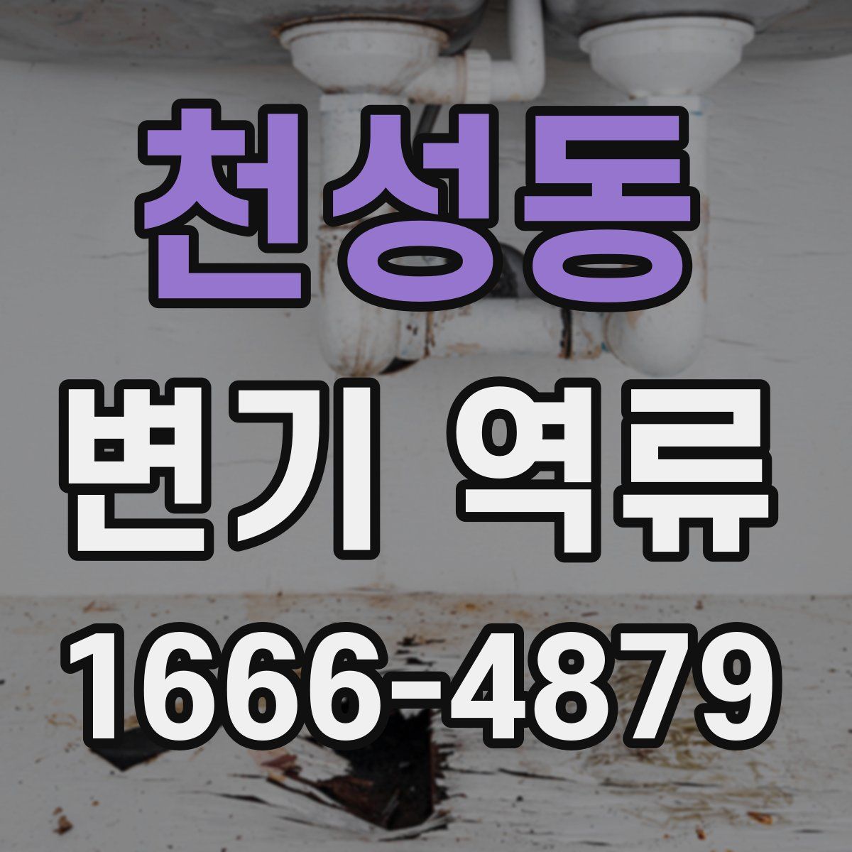 천성동 변기 역류