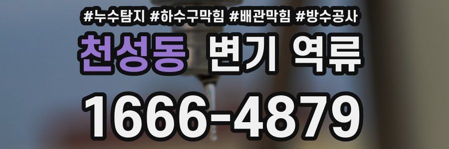 천성동 변기 역류