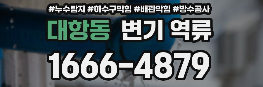 대항동 변기 역류