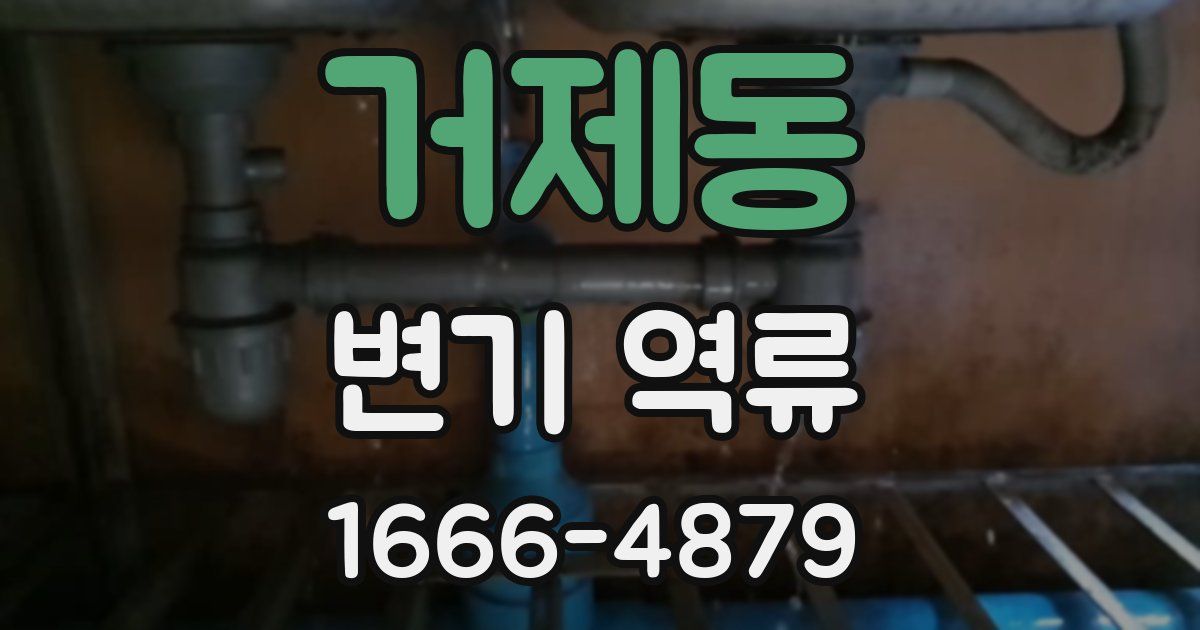 거제동 변기 역류