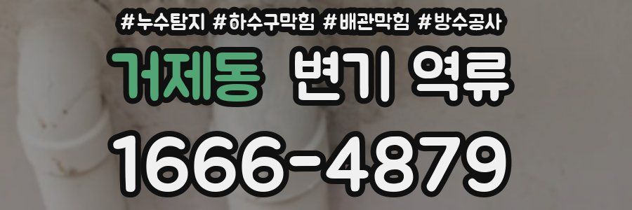 거제동 변기 역류