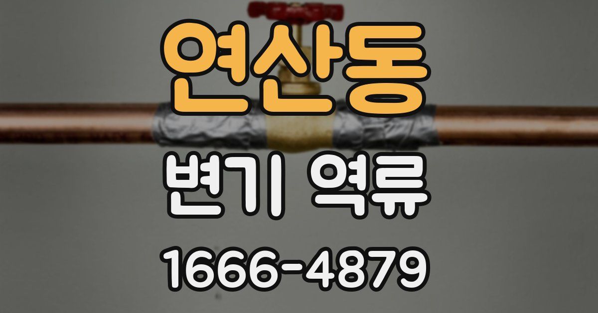 연산동 변기 역류