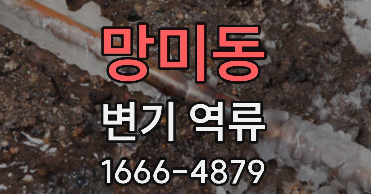 망미동 변기 역류