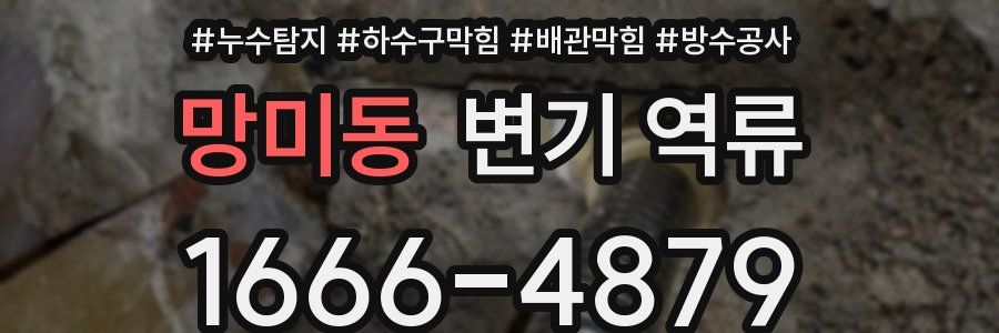 망미동 변기 역류