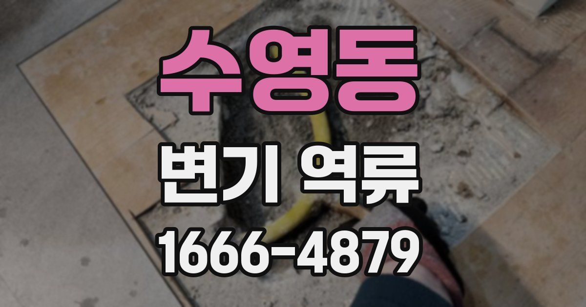 수영동 변기 역류