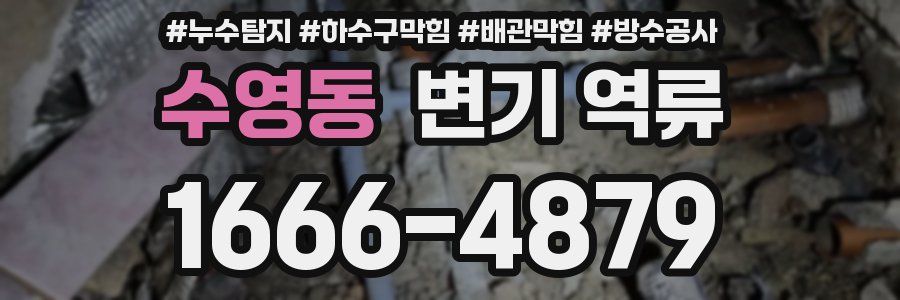 수영동 변기 역류