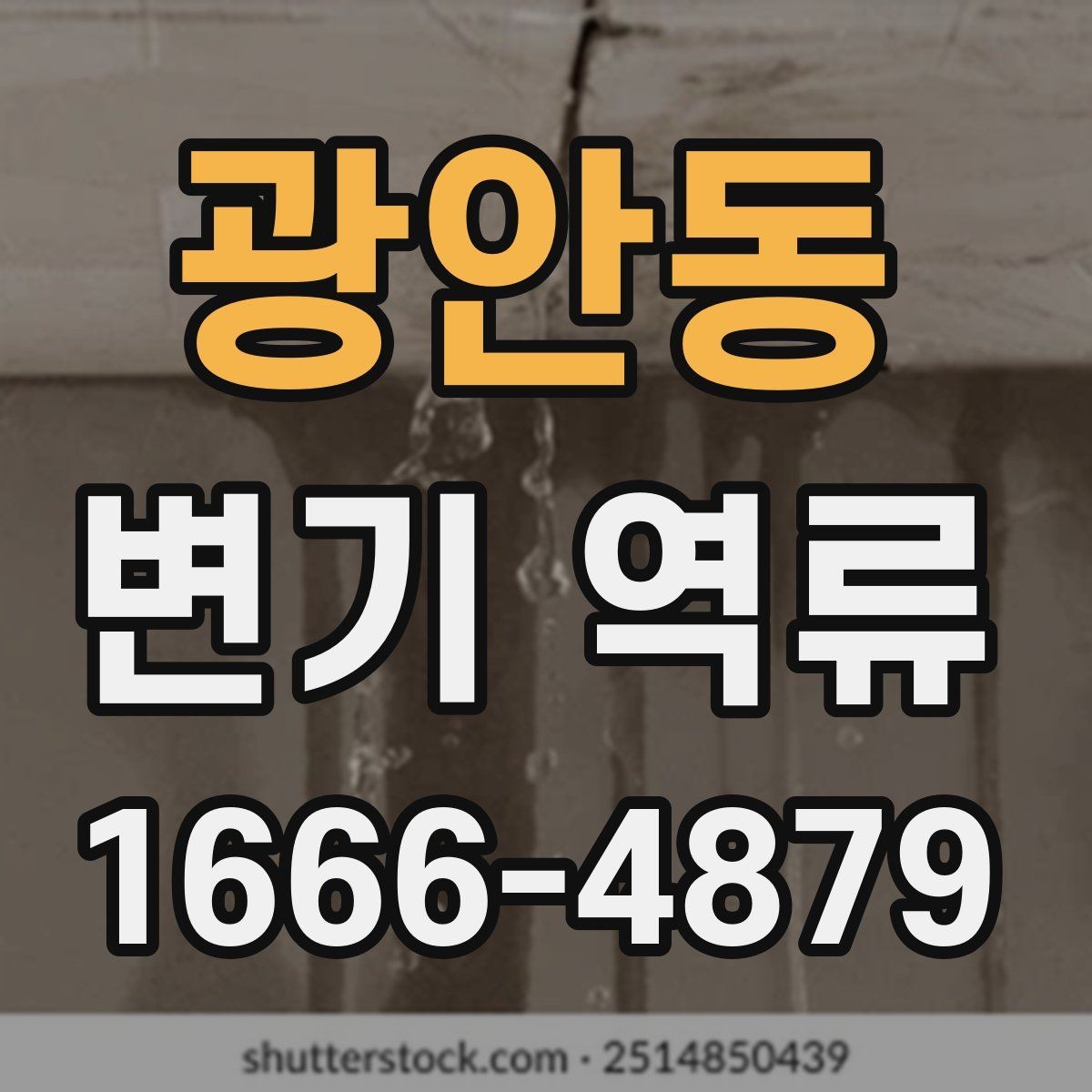 광안동 변기 역류 현상에 대한 기본 이해