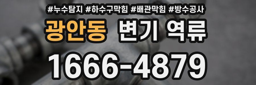 광안동 변기 역류