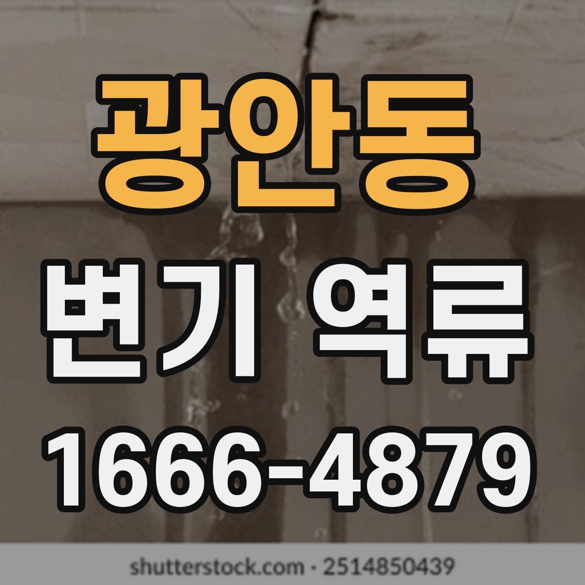 광안동 변기 역류