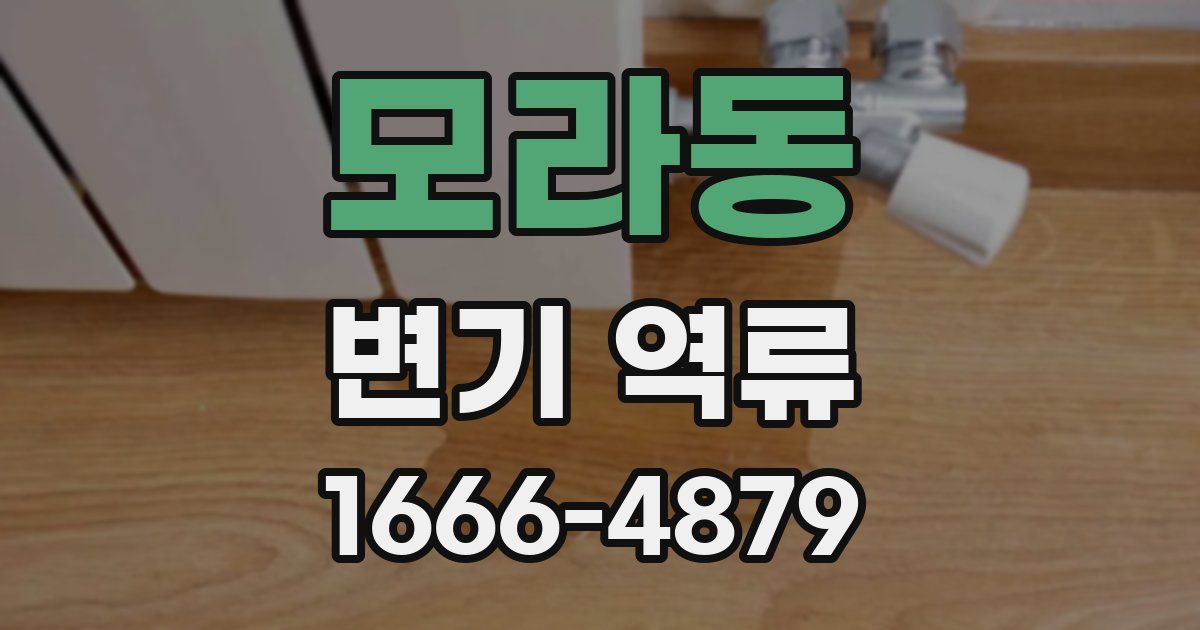 모라동 변기 역류