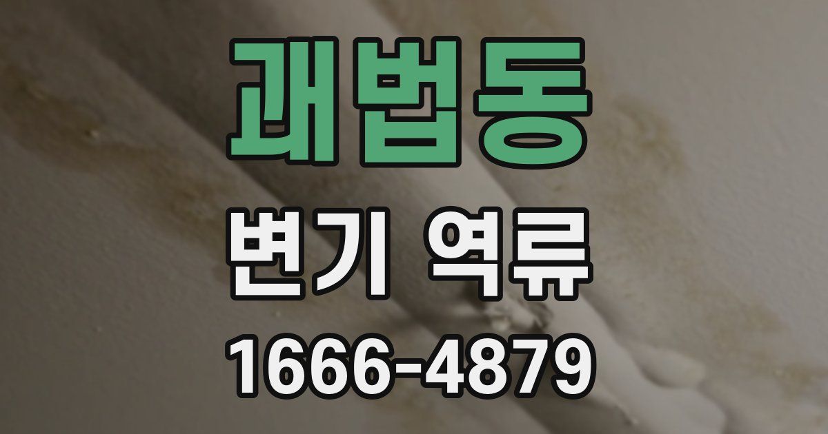 괘법동 변기 역류