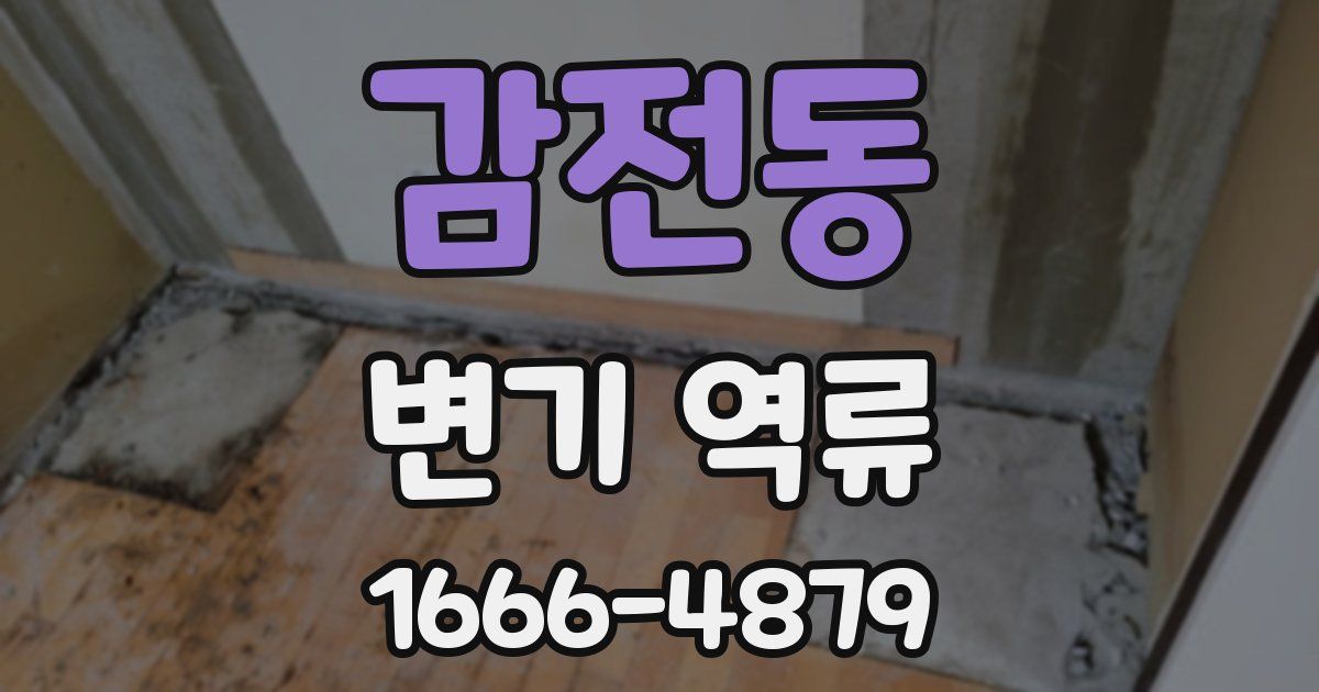 감전동 변기 역류