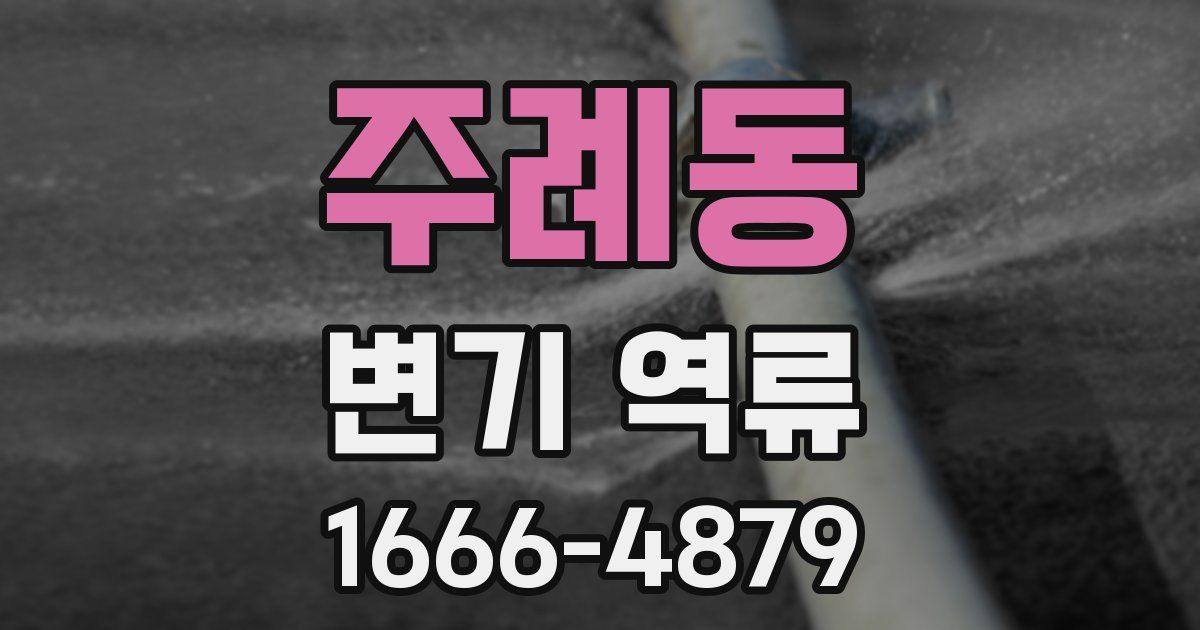 주례동 변기 역류