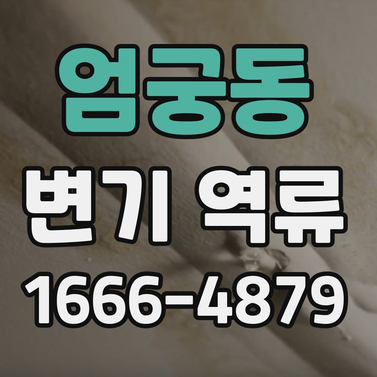 엄궁동 변기 역류 배관 이상이 의심될 때 먼저 볼 것