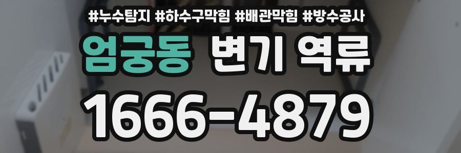 엄궁동 변기 역류
