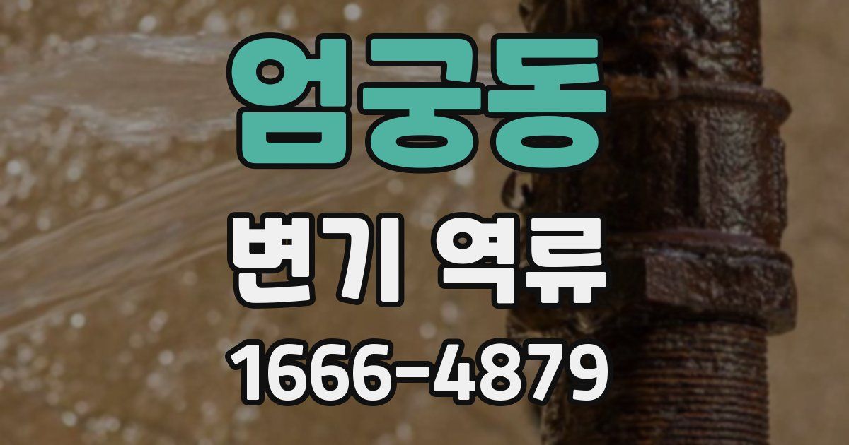 엄궁동 변기 역류