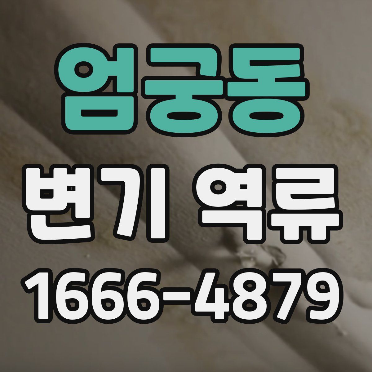 엄궁동 변기 역류