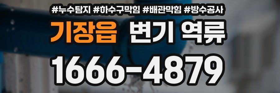 기장읍 변기 역류