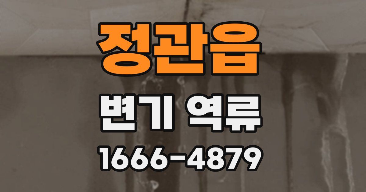 정관읍 변기 역류