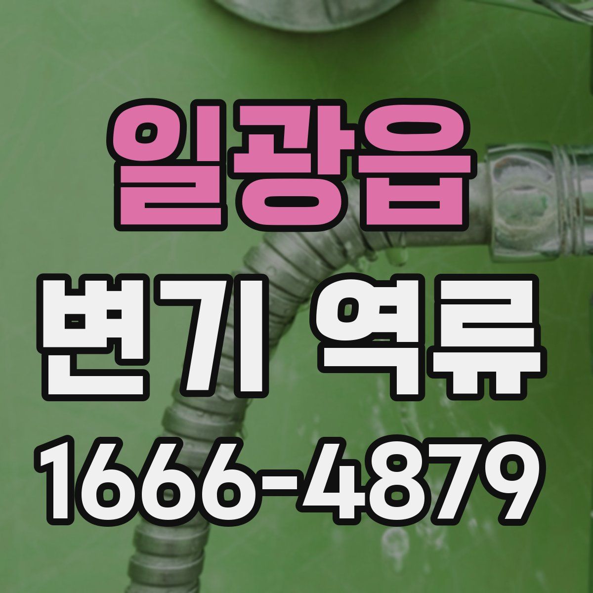 일광읍 변기 역류