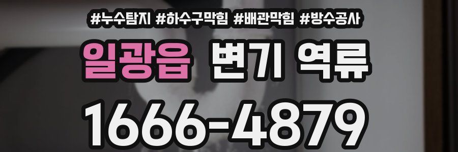 일광읍 변기 역류