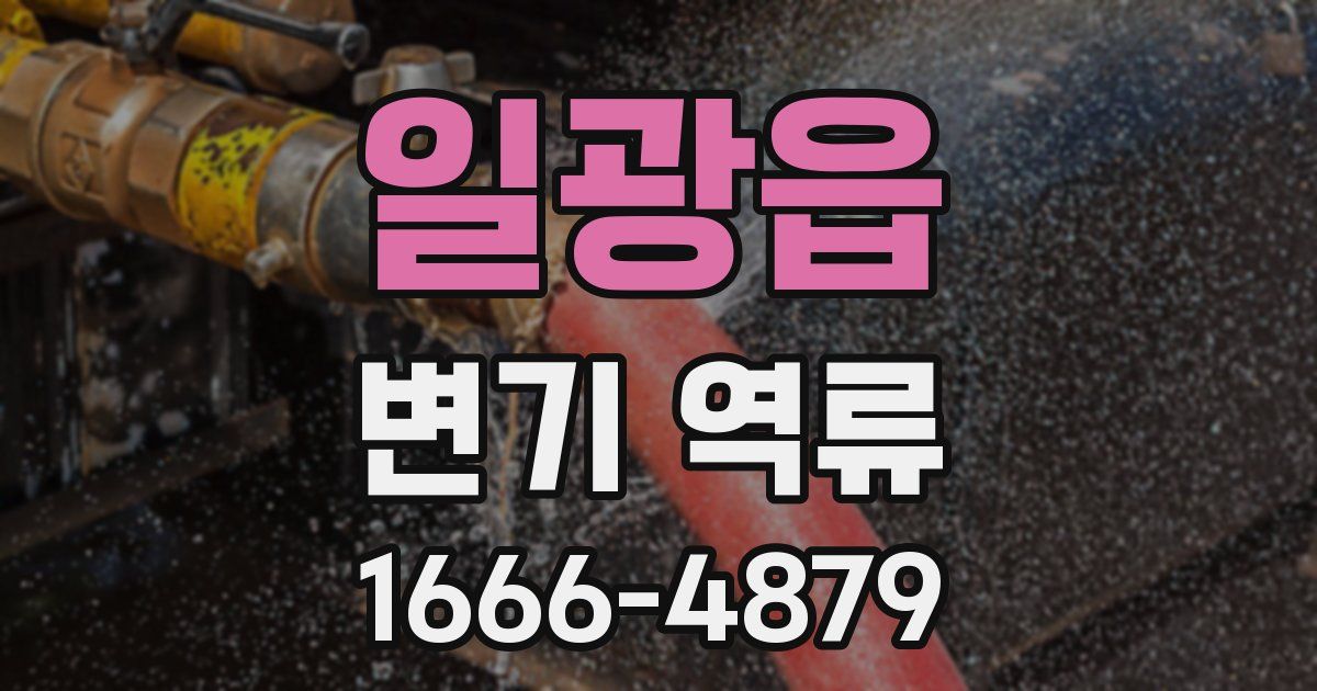 일광읍 변기 역류