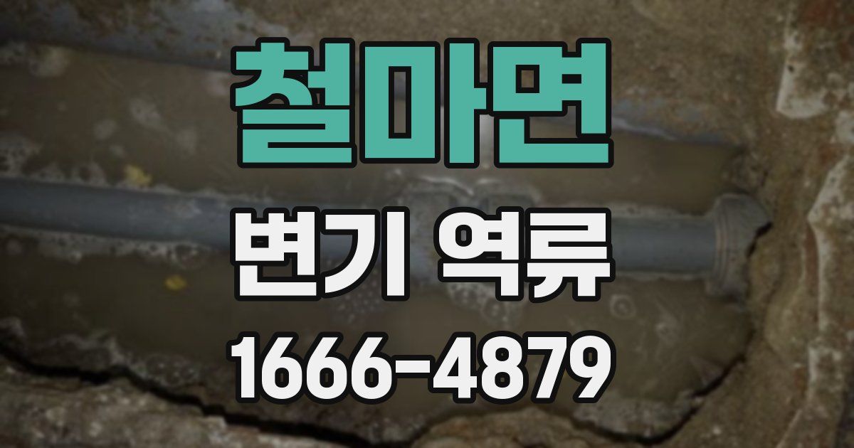 철마면 변기 역류