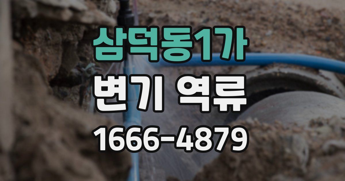 삼덕동1가 변기 역류