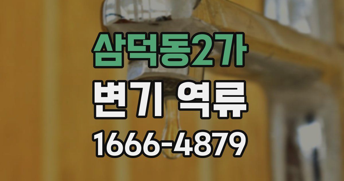 삼덕동2가 변기 역류