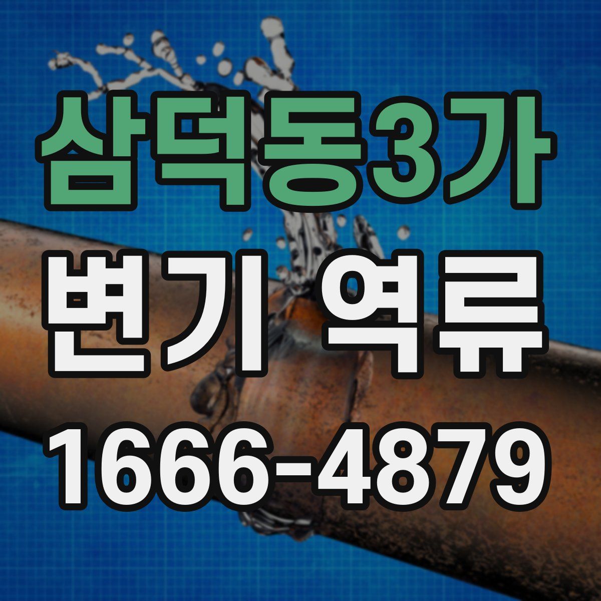 삼덕동3가 변기 역류