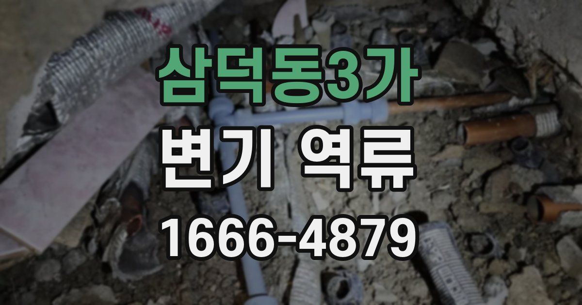 삼덕동3가 변기 역류