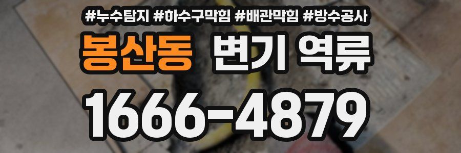 봉산동 변기 역류