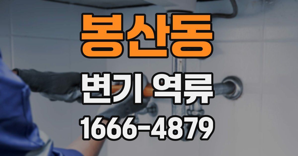 봉산동 변기 역류