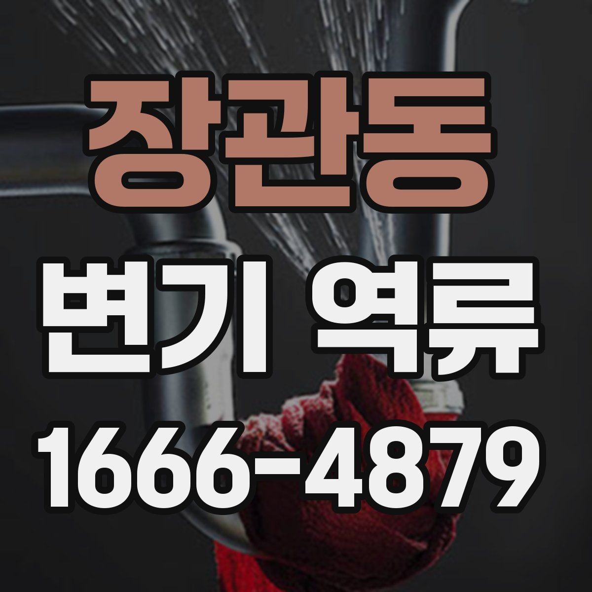 장관동 변기 역류 전문가 상담 전 준비하면 좋은 정보