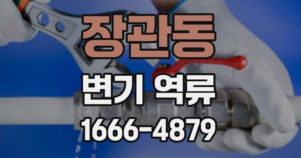 장관동 변기 역류