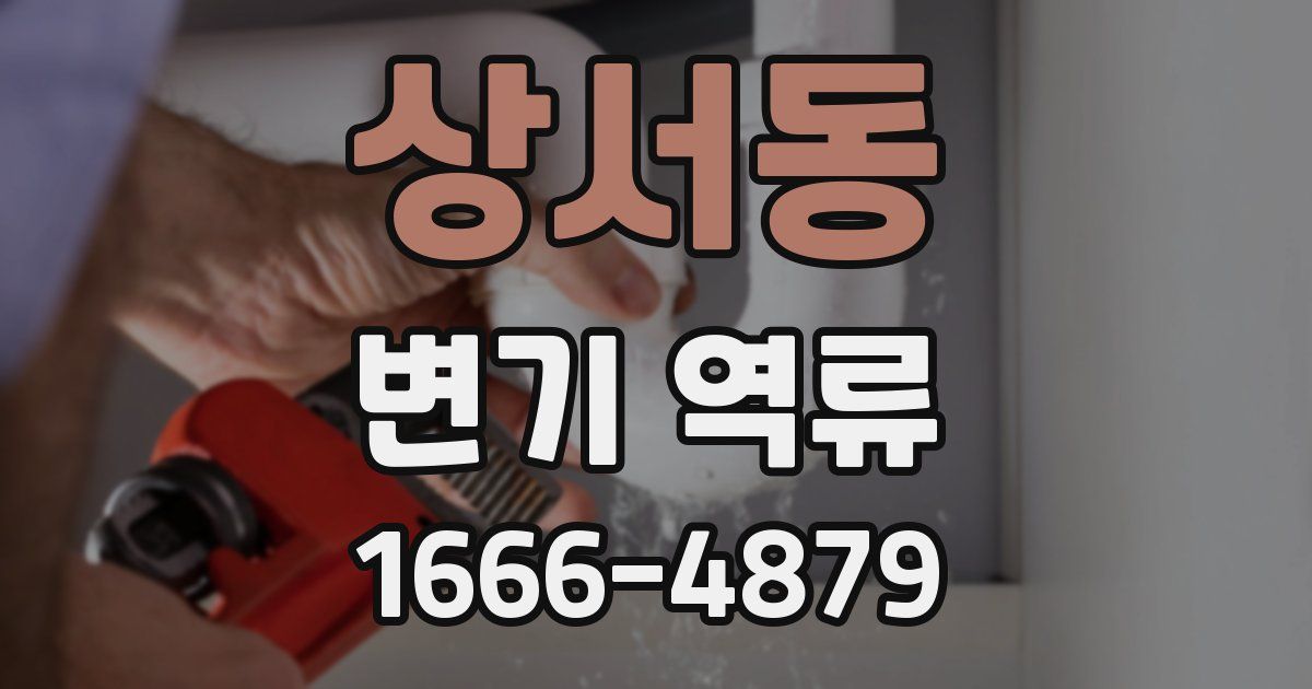 상서동 변기 역류