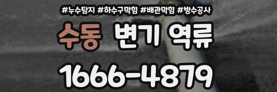 수동 변기 역류