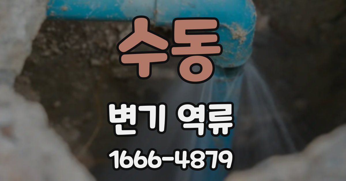 수동 변기 역류