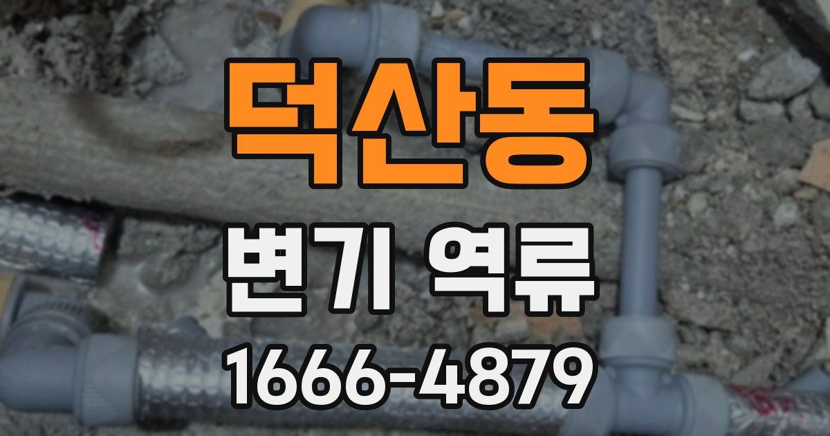 덕산동 변기 역류
