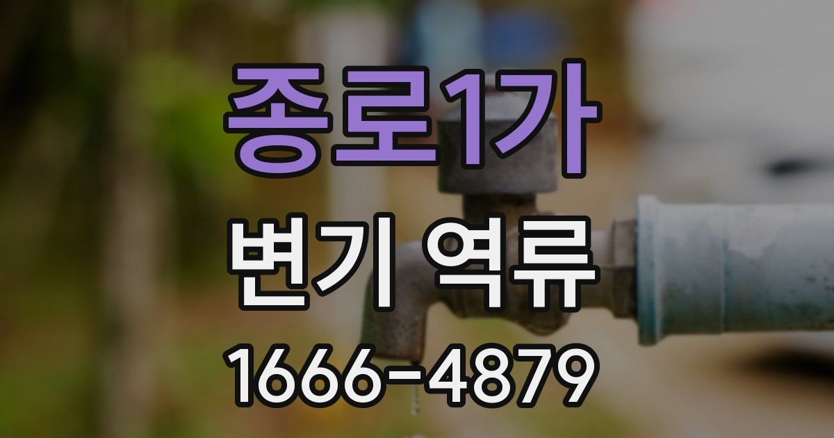 종로1가 변기 역류
